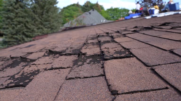 Best Roof Installation  in Mishawaka, IN